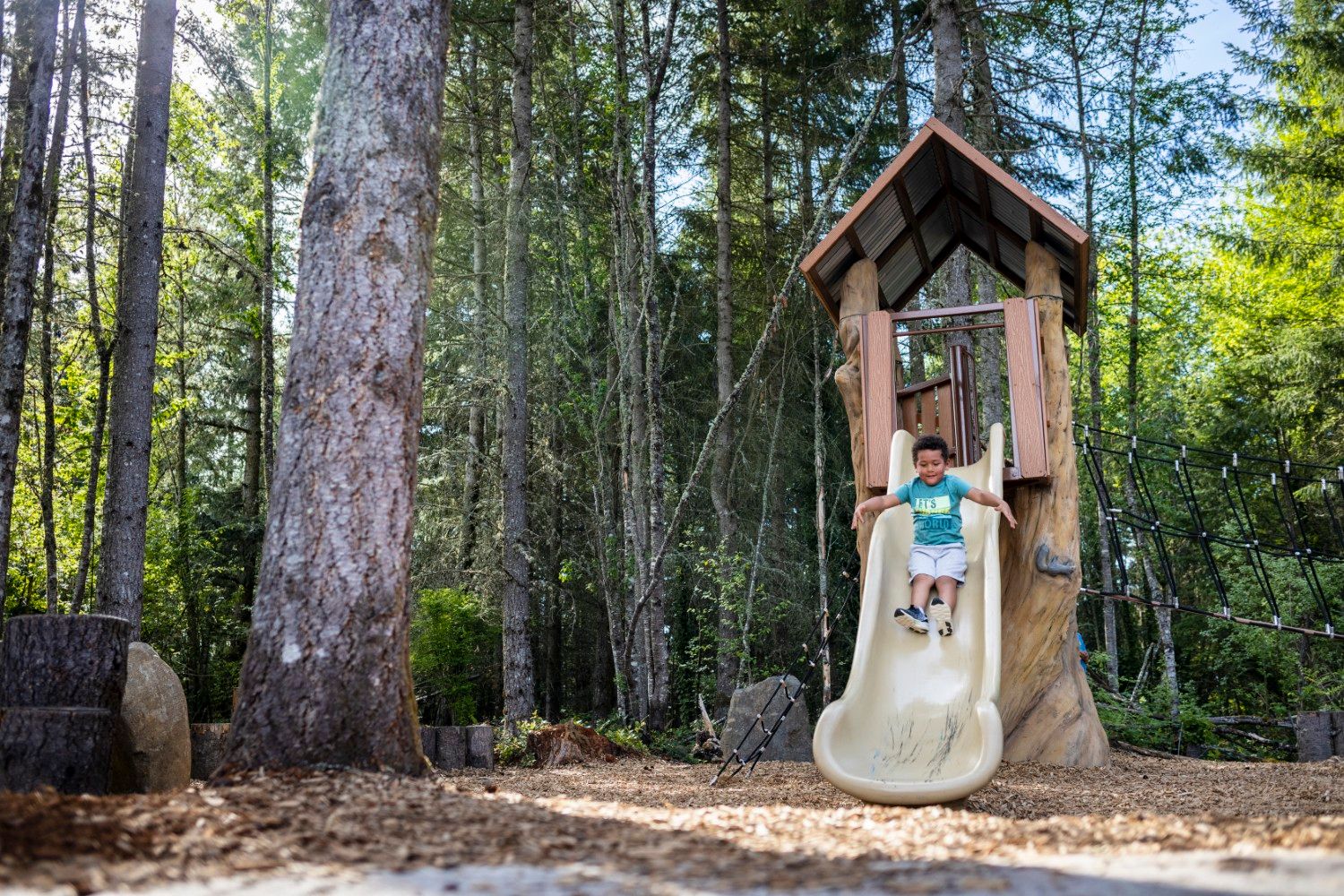 Glacier Pointe at Tehaleh