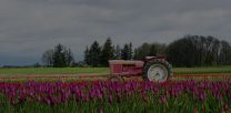 Marion Pointe por Holt Homes en Salem Oregon