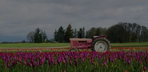 Marion Pointe - Woodburn, OR