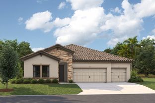 Longboat I - Hawkstone: Lithia, Florida - Homes by WestBay