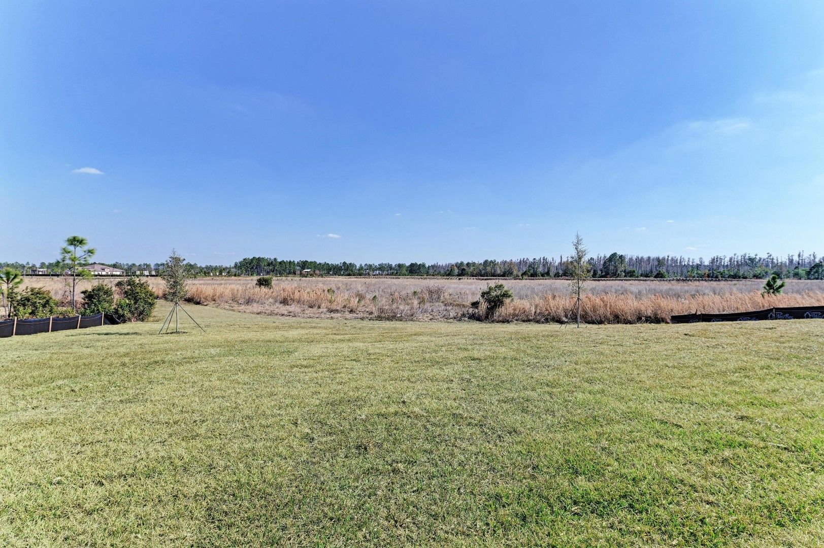 Biscayne II - 2058 Arching Branch - Lot 3-11