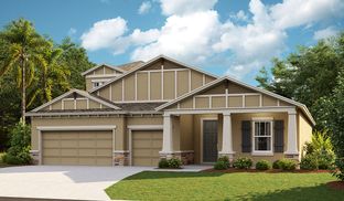 Bayshore II - Waterset: Apollo Beach, Florida - Homes by WestBay