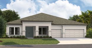 Cedar Key I - Waterset: Apollo Beach, Florida - Homes by WestBay