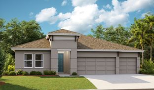 Hyde Park III - Waterset: Apollo Beach, Florida - Homes by WestBay
