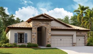 Biscayne - Hawkstone: Lithia, Florida - Homes by WestBay
