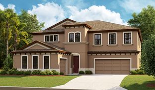 Belmar - Caldera: Spring Hill, Florida - Homes by WestBay
