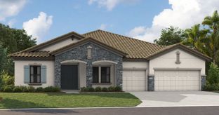 Cedar Key I - Creek Ridge Preserve: Lithia, Florida - Homes by WestBay