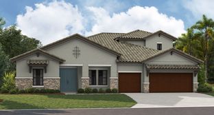 Cedar Key II - Hawkstone: Lithia, Florida - Homes by WestBay