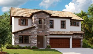 Verona - Hawkstone: Lithia, Florida - Homes by WestBay