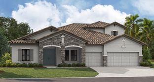 Cedar Key II - Creek Ridge Preserve: Lithia, Florida - Homes by WestBay