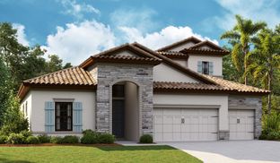 Biscayne II - Hawkstone: Lithia, Florida - Homes by WestBay