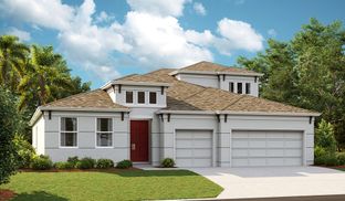 Bayshore II - Waterset: Apollo Beach, Florida - Homes by WestBay
