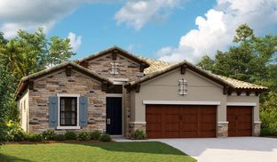 Biscayne - Hawkstone: Lithia, Florida - Homes by WestBay