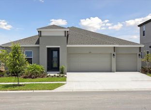 Hyde Park III - Waterset: Apollo Beach, Florida - Homes by WestBay