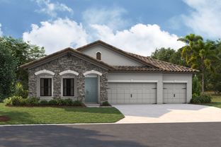 Bayport I - Hawkstone: Lithia, Florida - Homes by WestBay