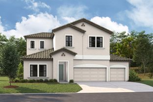 Longboat II - Crosswind Ranch: Parrish, Florida - Homes by WestBay
