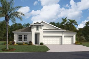 Bayside I - Pasadena Woods: Dade City, Florida - Homes by WestBay