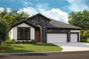 Biscayne I - Barrington Preserve: Brandon, Florida - Homes by WestBay