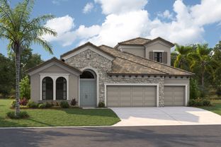 Biscayne II - Barrington Preserve: Brandon, Florida - Homes by WestBay