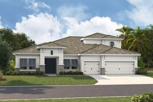 Cedar Key Grande II - Barrington Preserve: Brandon, Florida - Homes by WestBay