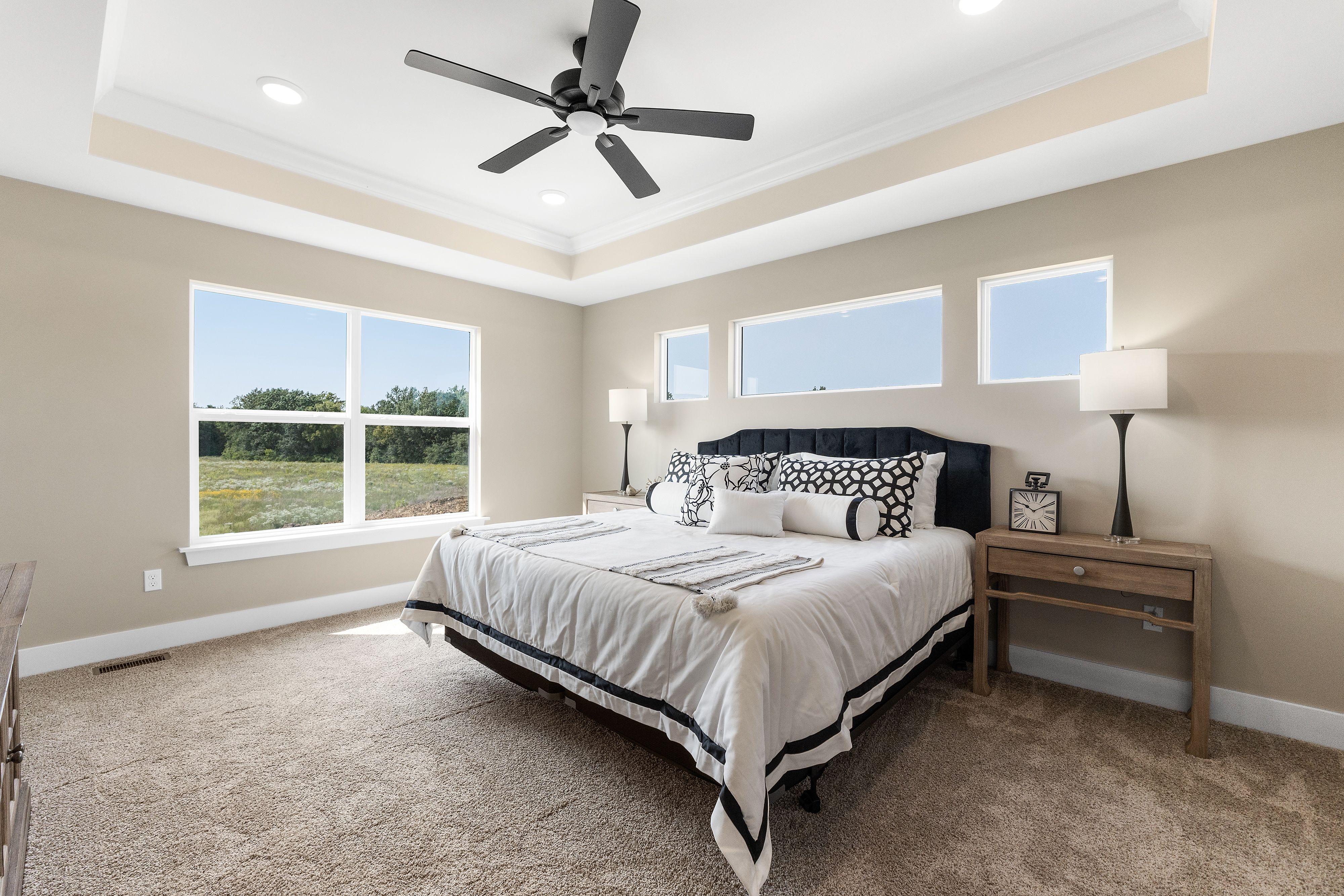 Owner's Suite with Tray Ceiling