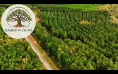 Hamilton Grove: Appling, Georgia - Hughston Homes