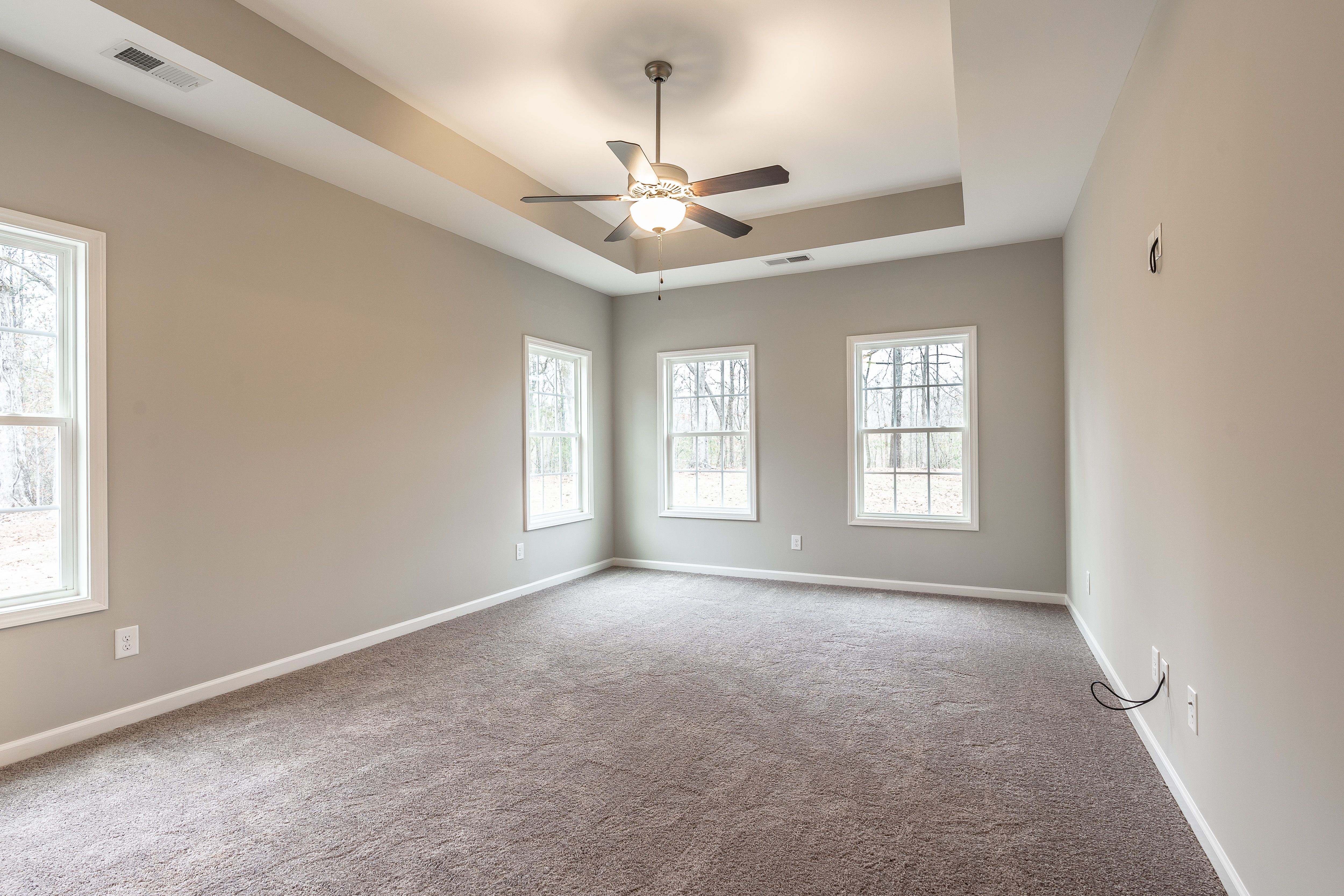 Tray Ceiling