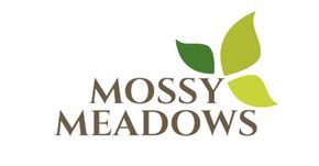 Mossy Meadows by Hughston Homes in Macon Georgia