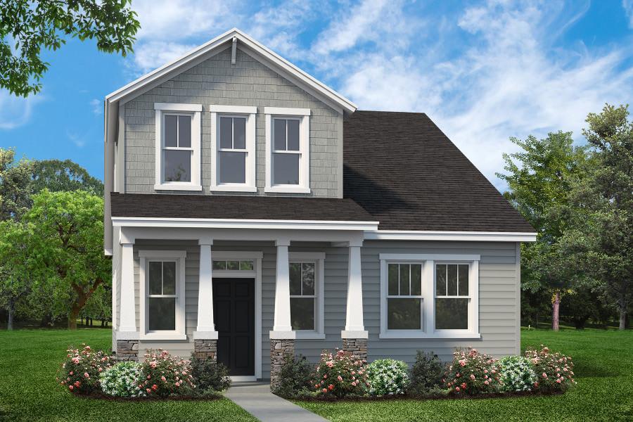 Calhoun Craftsman Elevation