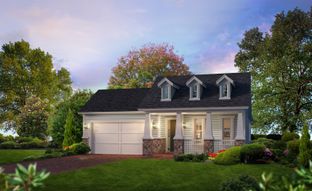 Aiden - Woodhaven: Port Orange, Florida - ICI Homes