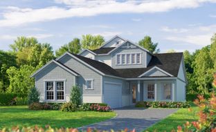 Mesa Verde - Woodhaven: Port Orange, Florida - ICI Homes