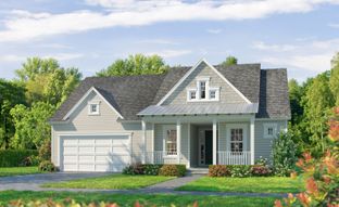Davenport - Palmera Wellen Park - ICI Homes: Venice, Florida - ICI Homes