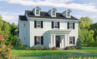Avondale - Seven Pines: Jacksonville, Florida - ICI Homes