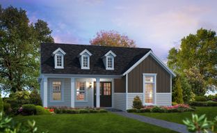 Holly - Persimmon Park: Wesley Chapel, Florida - ICI Homes