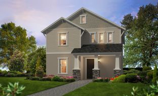 Azalea - Persimmon Park: Wesley Chapel, Florida - ICI Homes