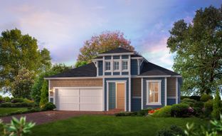 Serena - Mosaic: Daytona Beach, Florida - ICI Homes