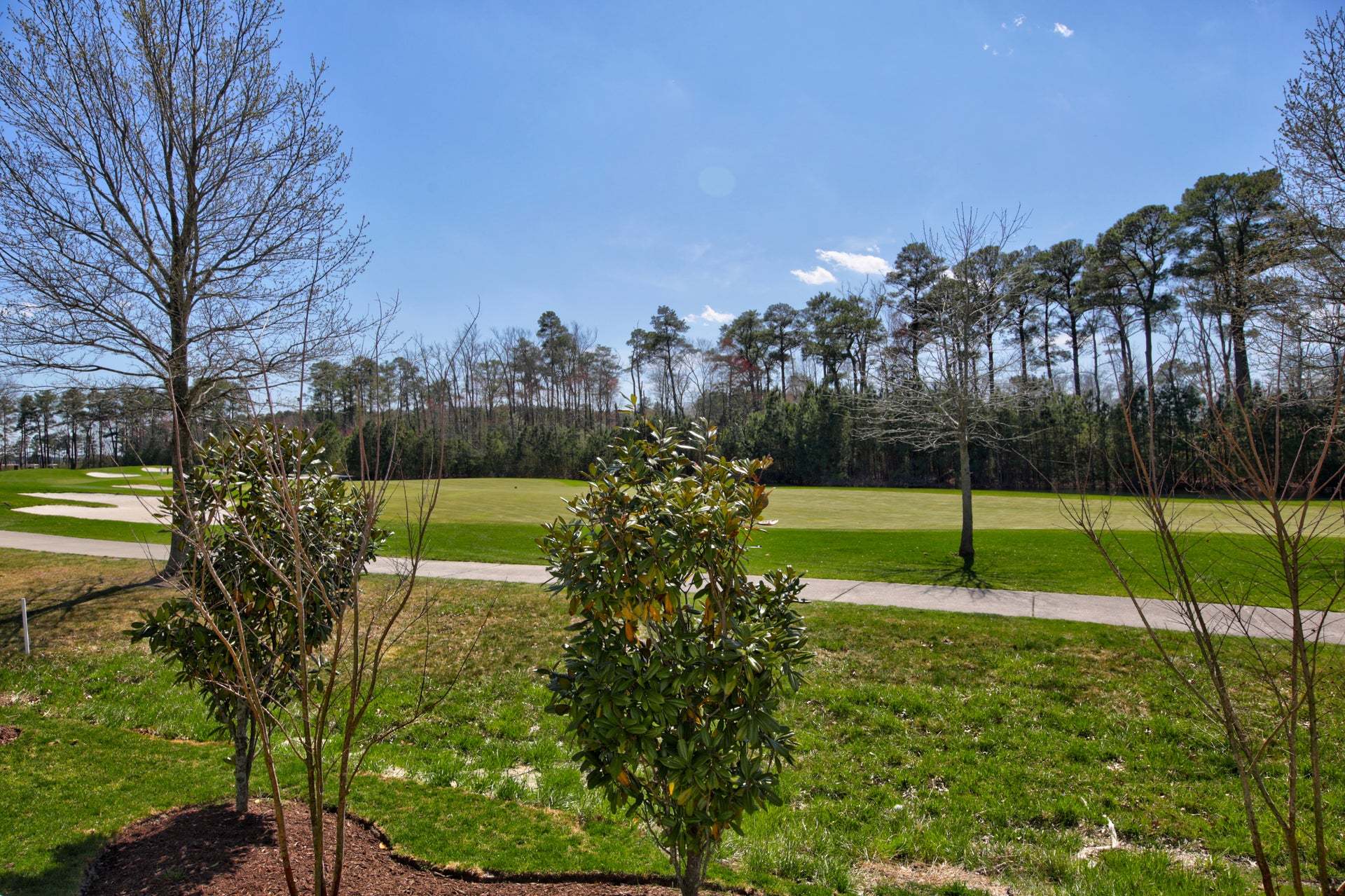 Golf Course View From The Frank Model