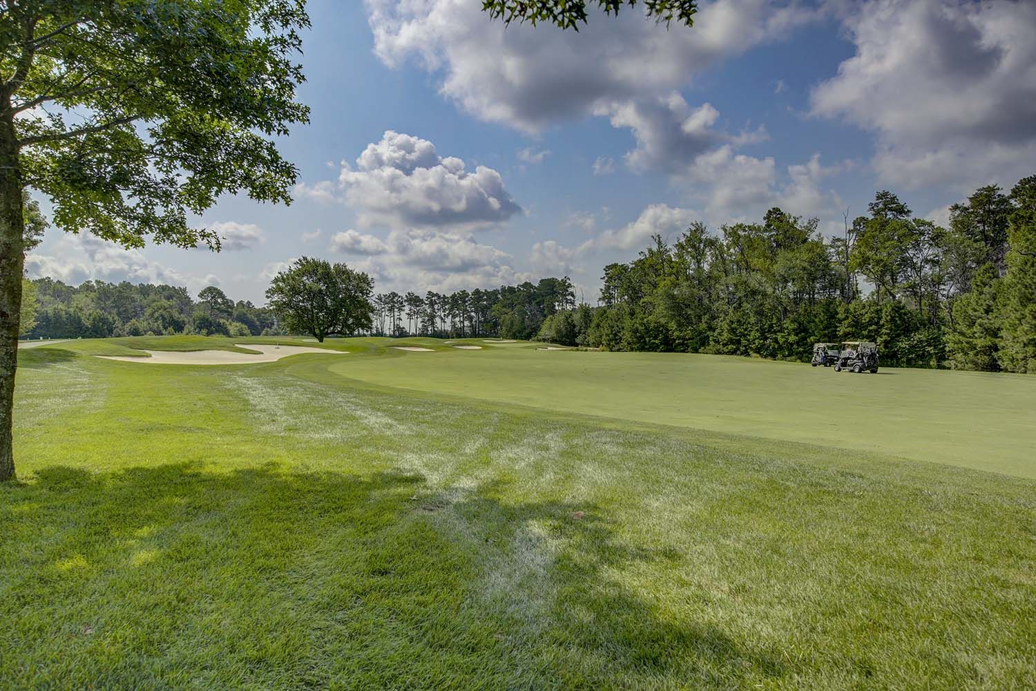 Golf Course View From The Frank Model