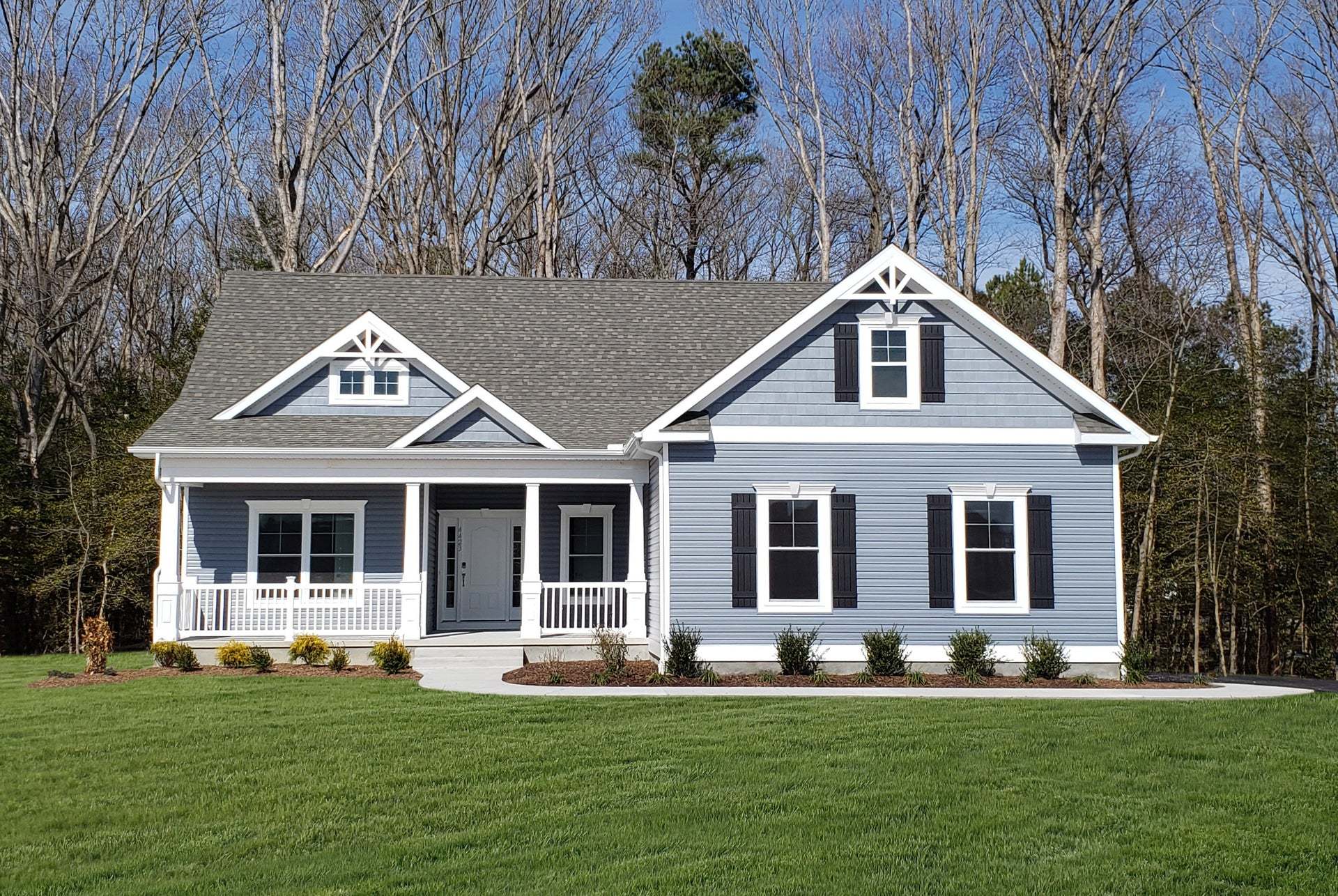 The Vandelay Hampton