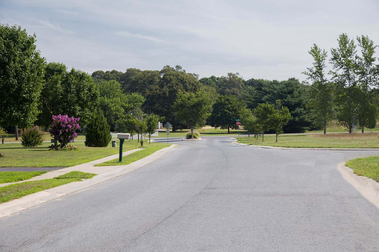 Cypress Point Community