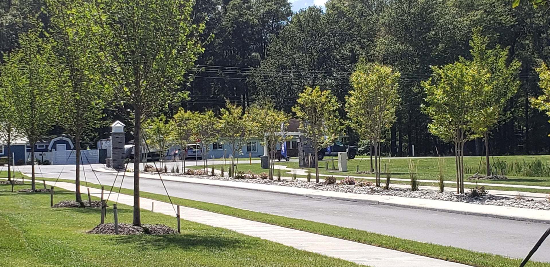 Community Entryway Lined with Trees