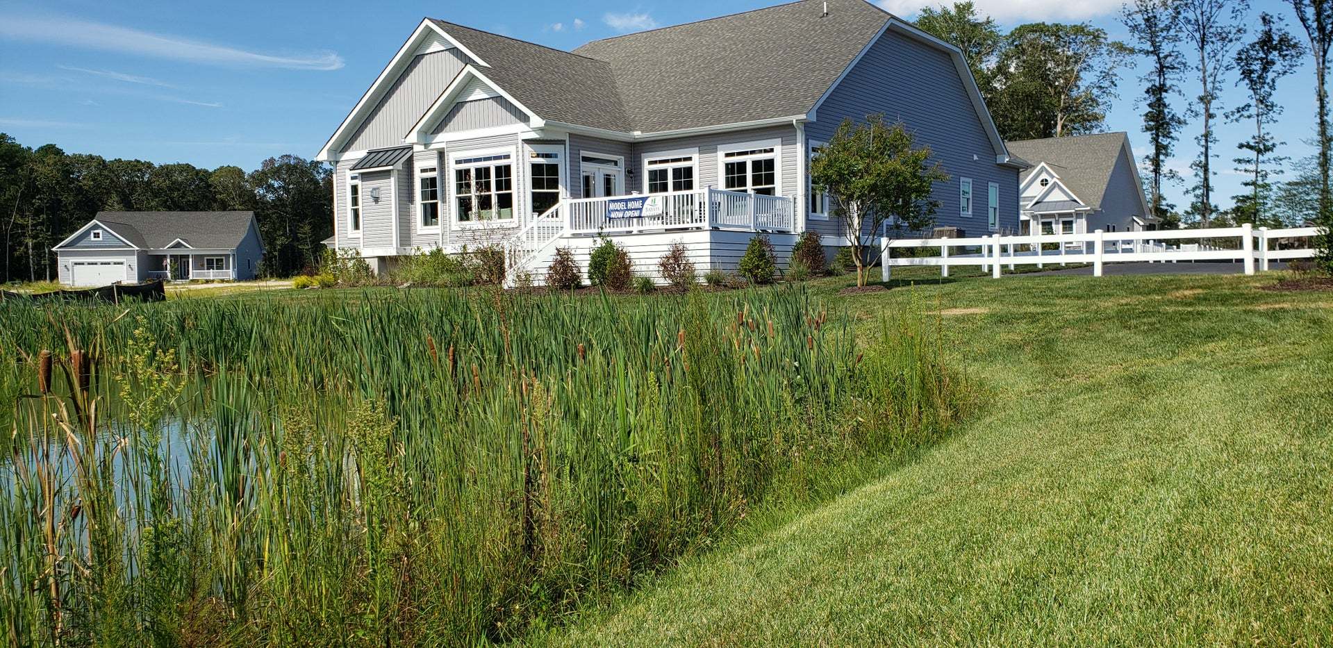 Pond Behind the Nelson Model