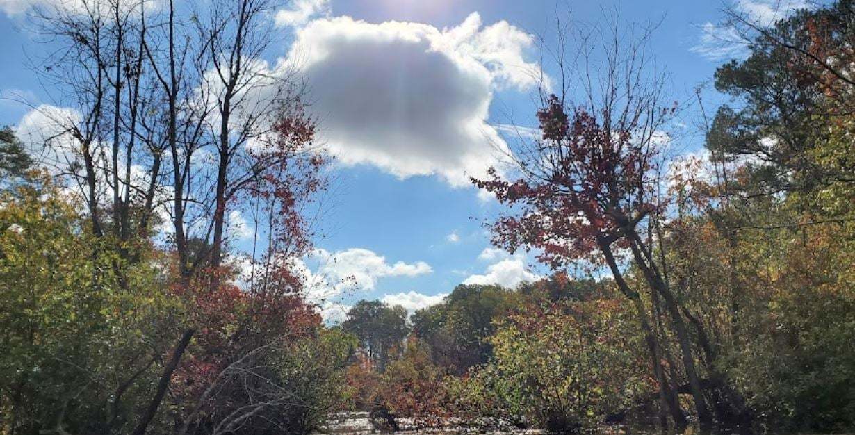 Courseys Pond