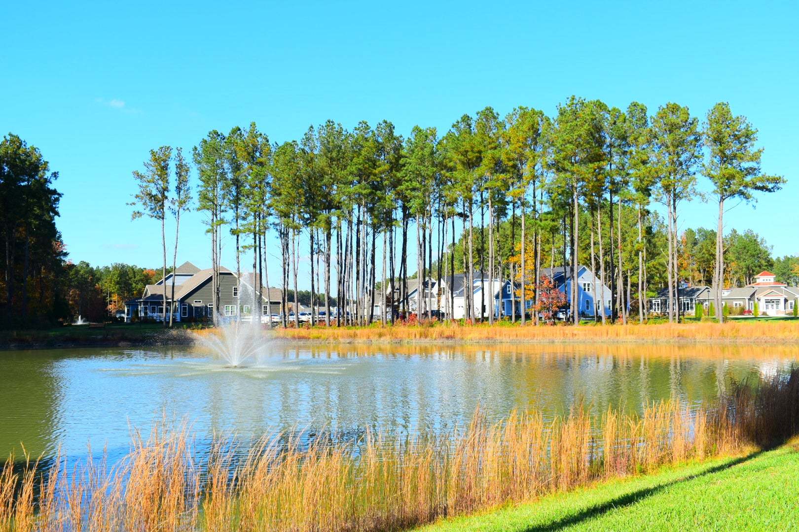 Hawthorne Community Overview