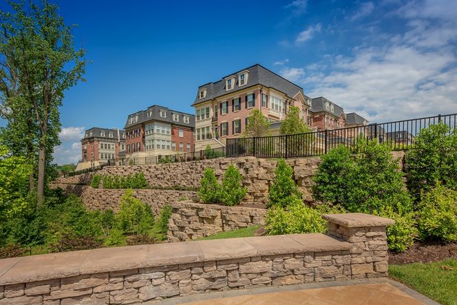 Stone Wall and Landscaping