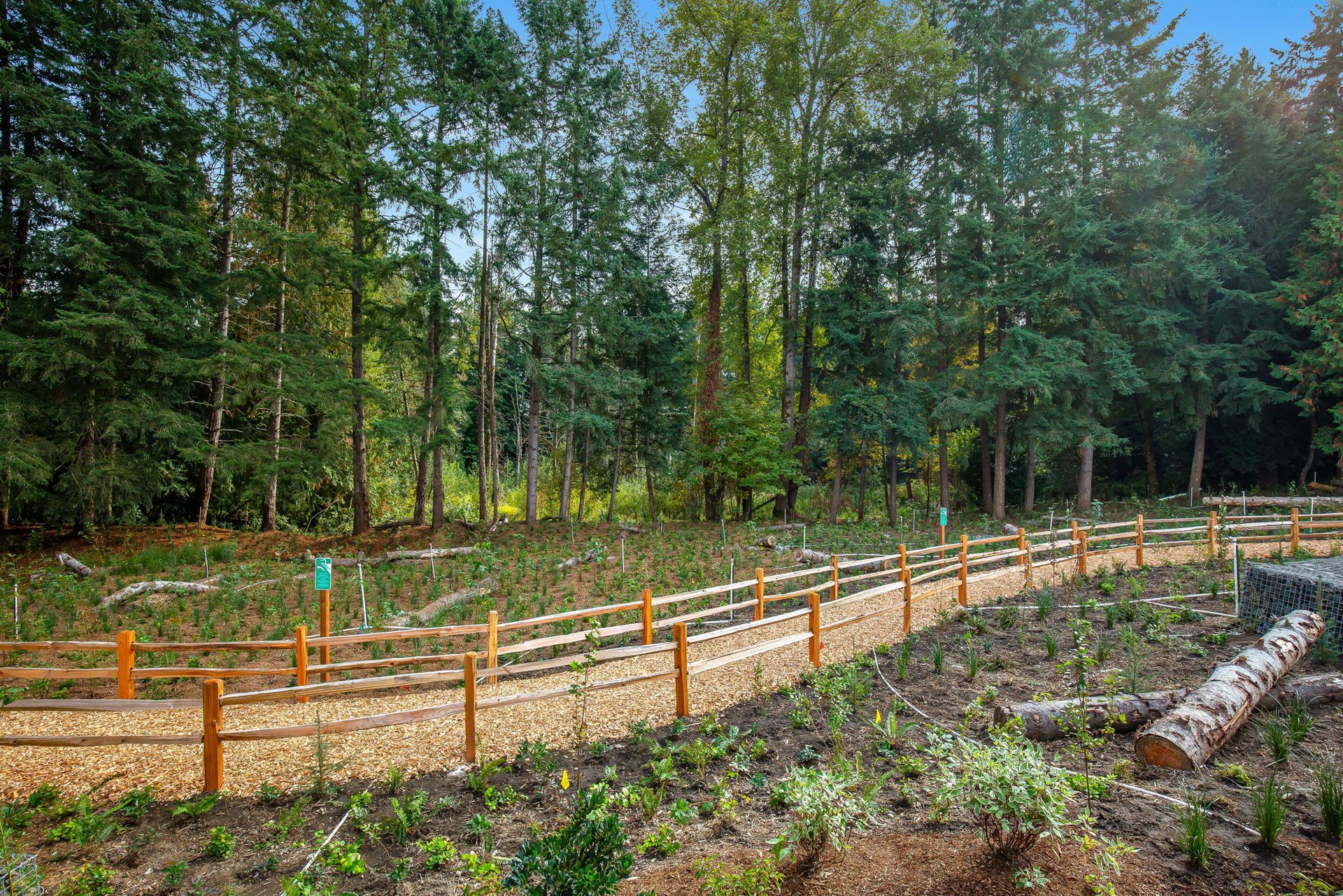 The green space and trail behind the community