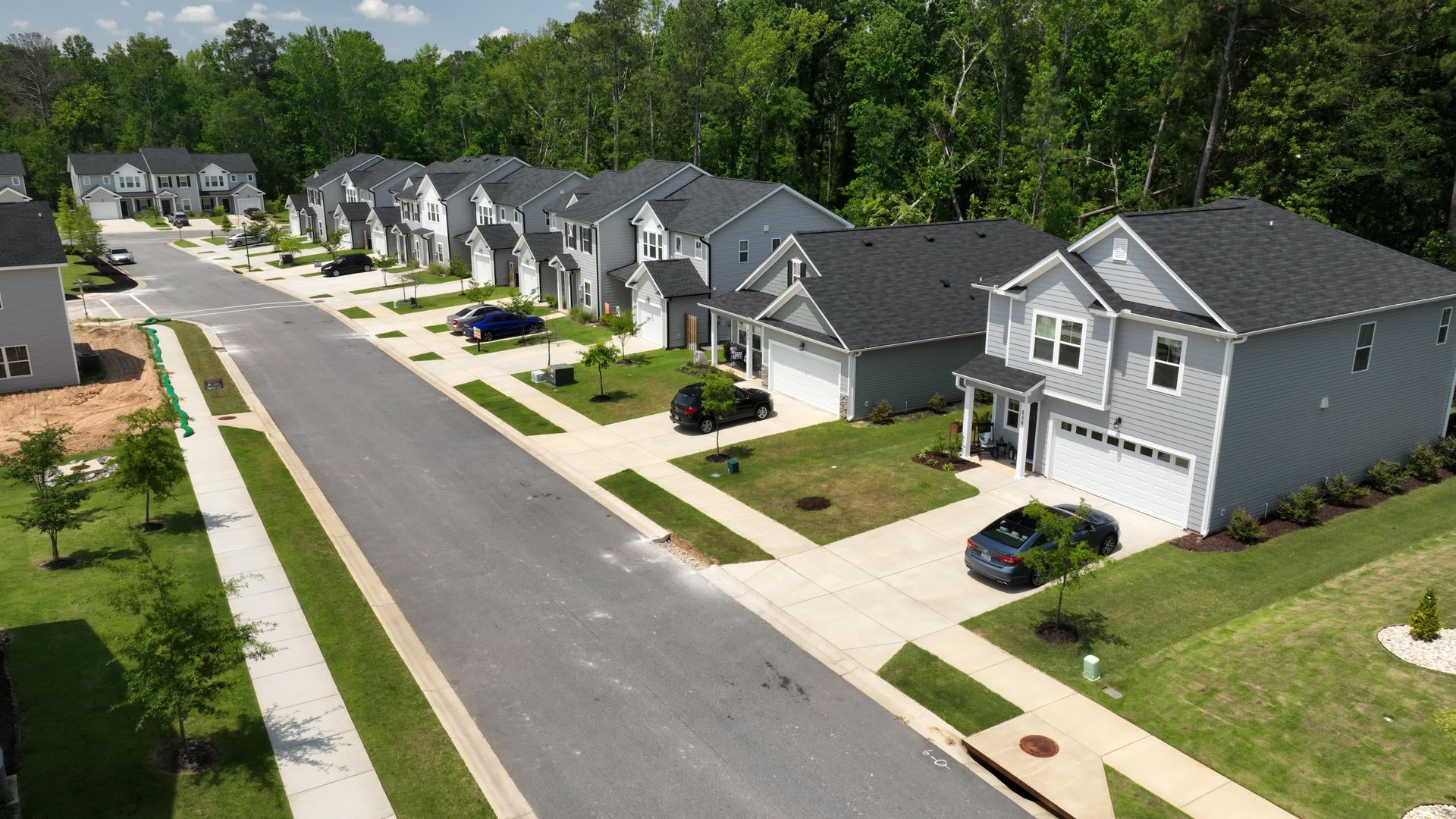 Forrest Bluff by Ivey Homes Streetscape