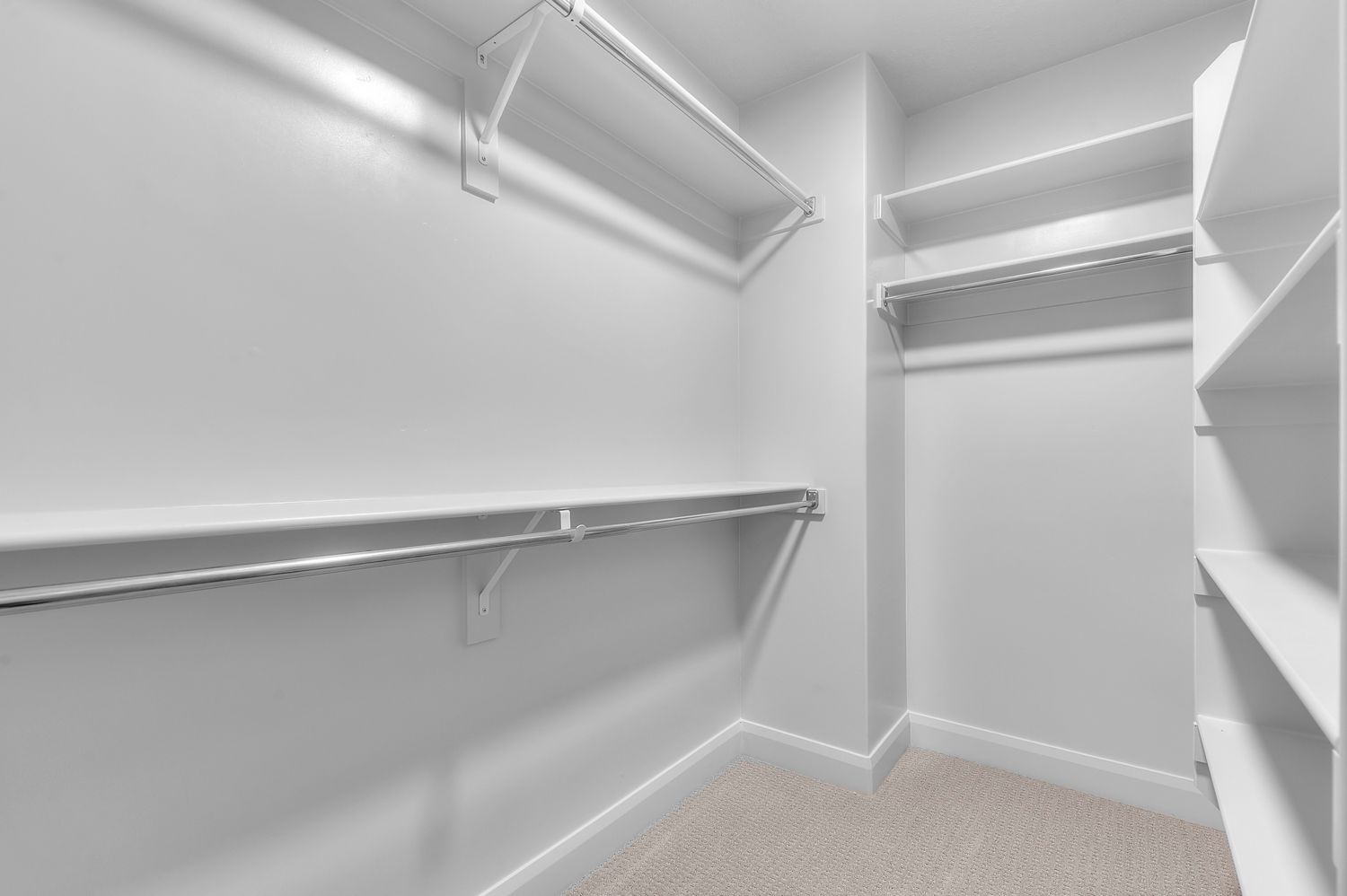 Clairemont Traditional