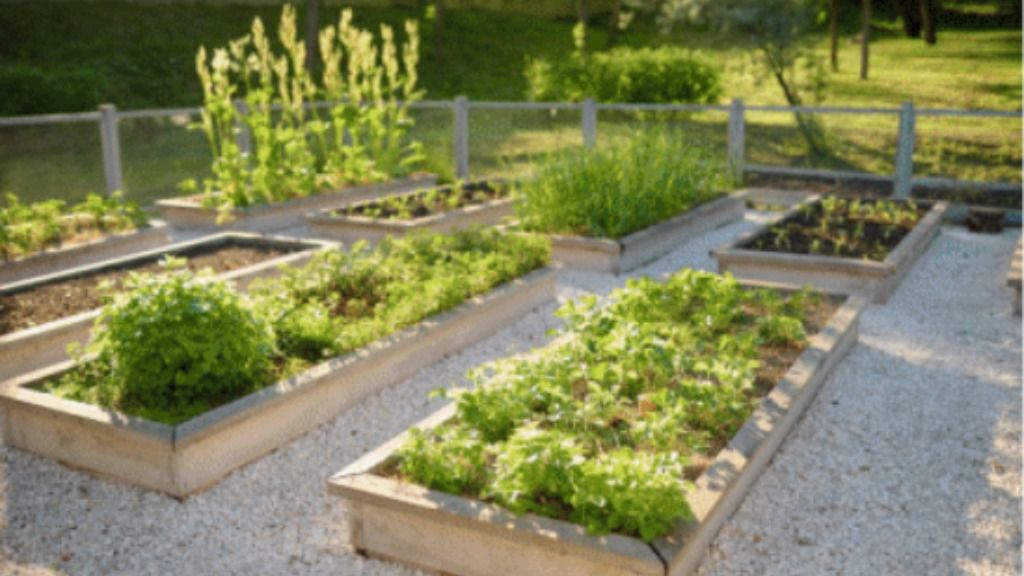 Community Garden
