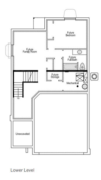 Basement Level